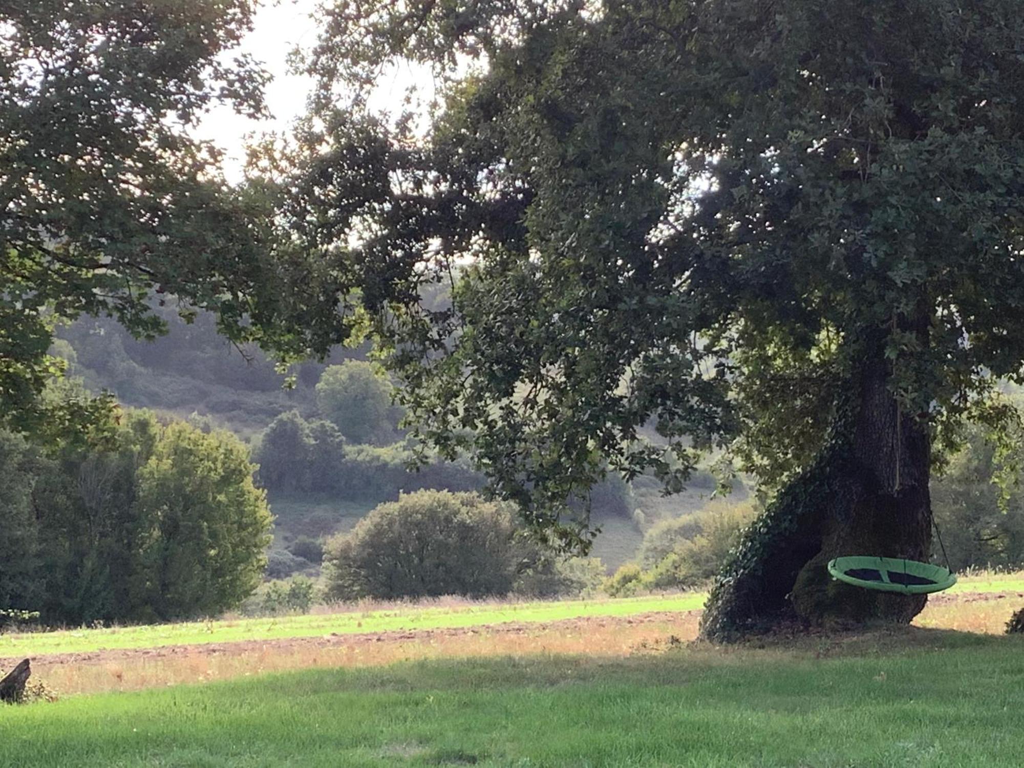 Gîte vallée magique Panissaud Le Grand-Madieu Esterno foto